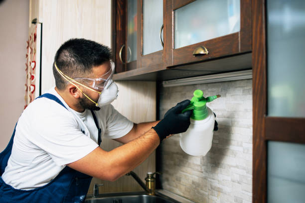 Best Pest Control Near Me in Olcott, NY