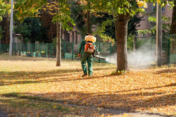 Pest Prevention Services in Olcott, NY
