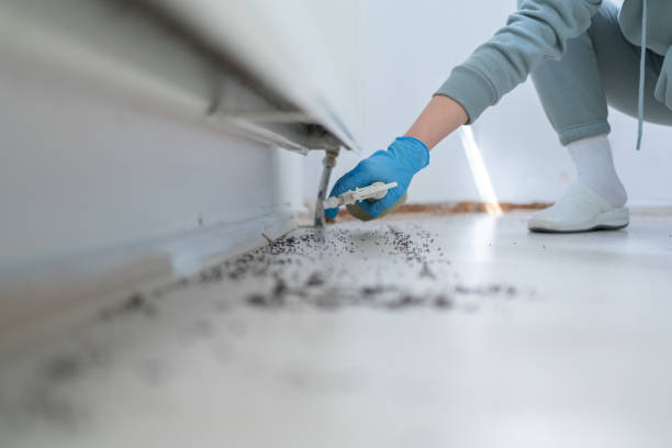 Best Mosquito Control Services  in Olcott, NY