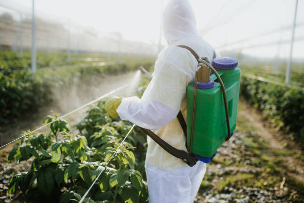 Best Exterminator Services  in Olcott, NY